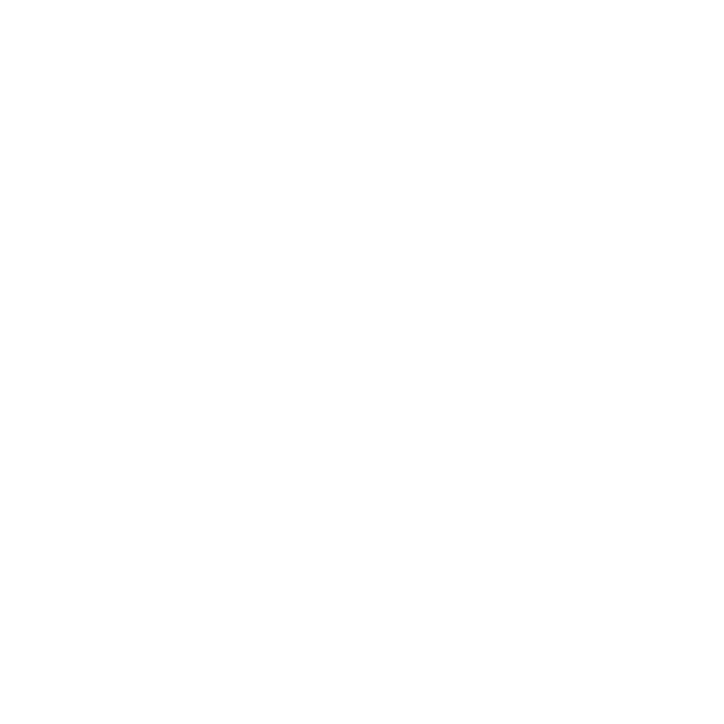 Technische Darstellung eines Elektrokessels für Heizung und Warmwasser